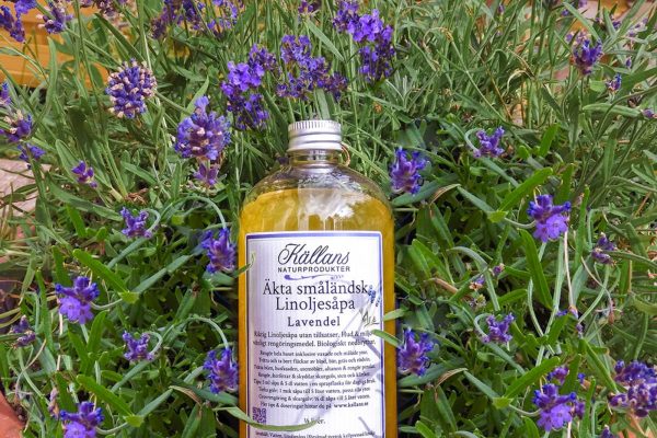 Pinderud & Sørensen AS